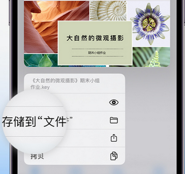 肇庆apple维修中心分享iPhone文件应用中存储和找到下载文件