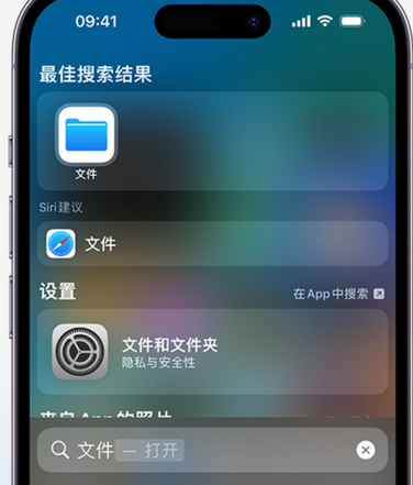 肇庆apple维修中心分享iPhone文件应用中存储和找到下载文件 