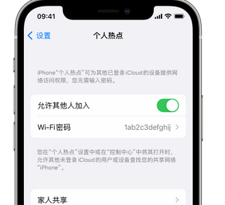 肇庆apple服务站点分享iPhone上个人热点丢失了怎么办 