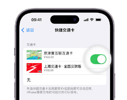 肇庆apple维修点分享iPhone上更换Apple Pay快捷交通卡手绘卡面 