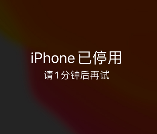 肇庆苹果手机维修分享:iPhone 显示“不可用”或“已停用”怎么办？还能保留数据吗？ 