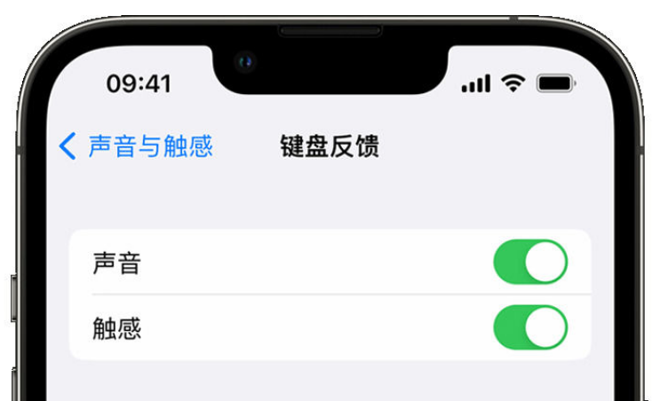 肇庆苹果手机维修分享iPhone 14触感键盘使用方法 