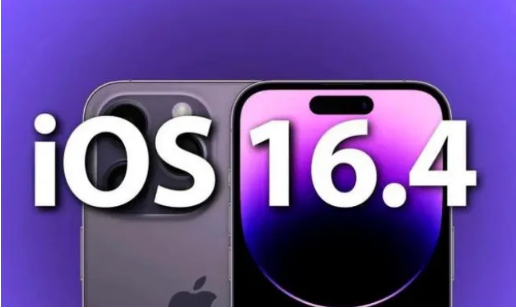 肇庆苹果14维修分享：iPhone14可以升级iOS16.4beta2吗？ 