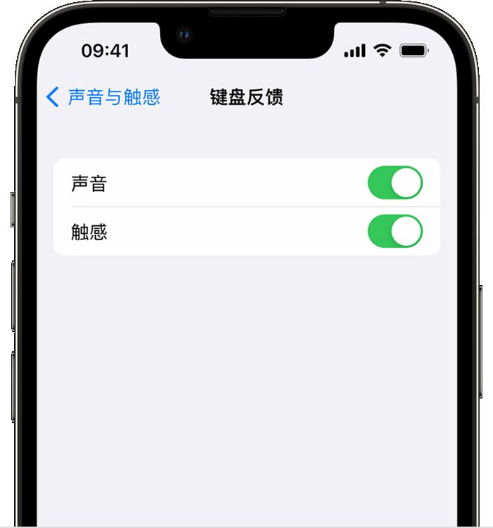 肇庆苹果14维修店分享如何在 iPhone 14 机型中使用触感键盘 