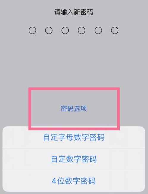 肇庆苹果14维修分享iPhone 14plus设置密码的方法 