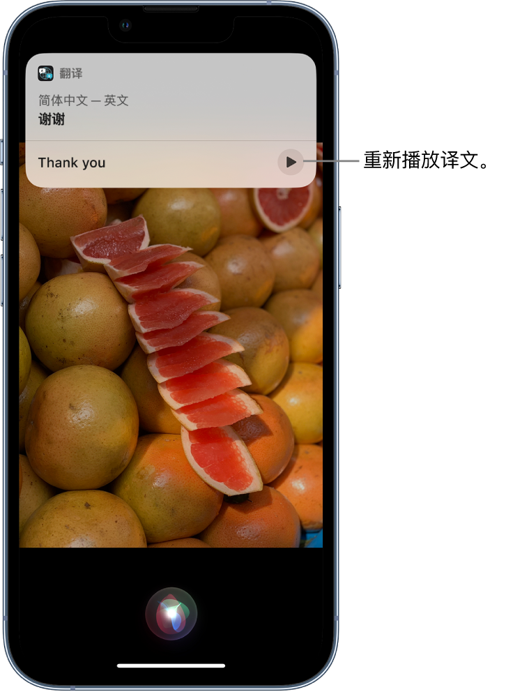 肇庆苹果14维修分享 iPhone 14 机型中使用 Siri：了解 Siri 能帮你做什么 