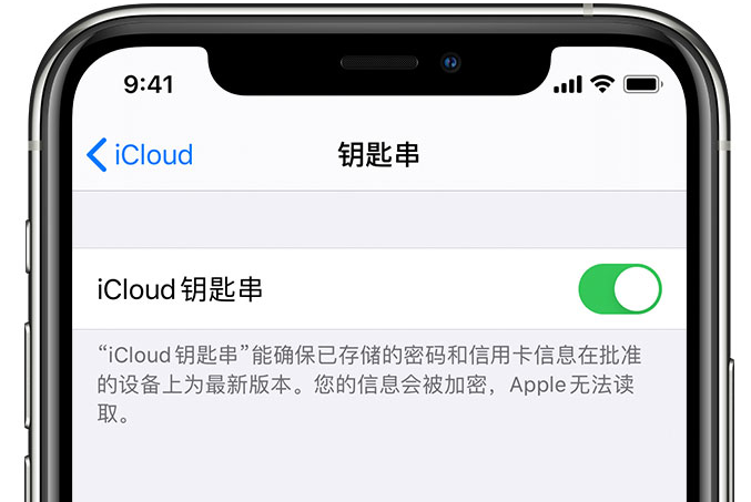 肇庆苹果手机维修分享在 iPhone 上开启 iCloud 钥匙串之后会储存哪些信息 