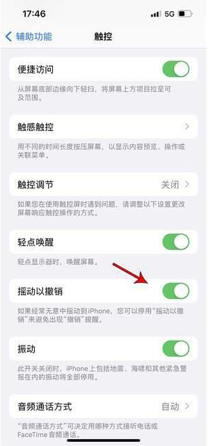 肇庆苹果手机维修分享iPhone手机如何设置摇一摇删除文字 