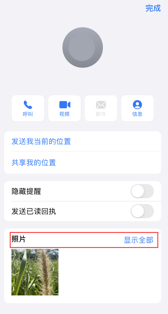 肇庆苹果手机维修分享如何快速查找 iMessage 信息中的图片等附件 